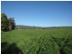 270 Speargrass Road, Yinnar VIC 3869
