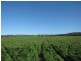 270 Speargrass Road, Yinnar VIC 3869
