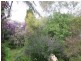 4 Ridgway, Mirboo North VIC 3871