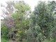 4 Ridgway, Mirboo North VIC 3871