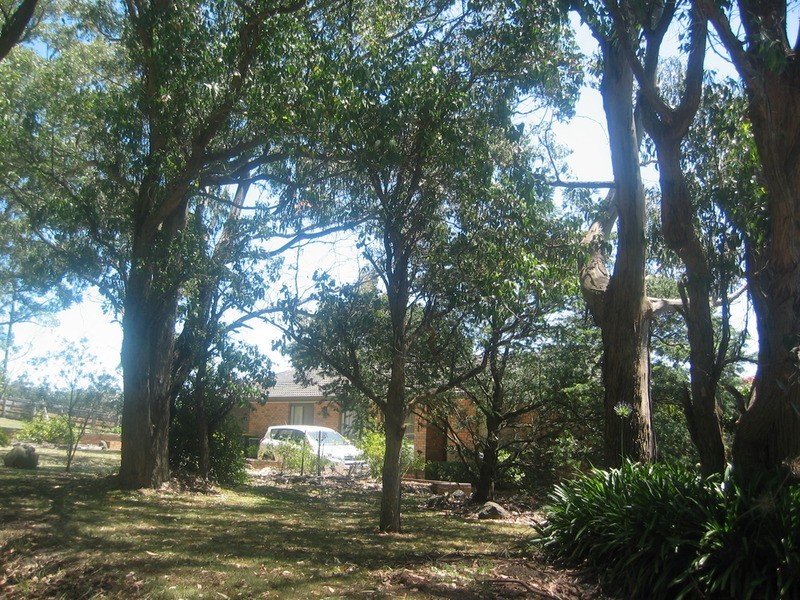2702 Hyland Highway, Willung South VIC 3844