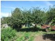 31 Giles Street, Mirboo North VIC 3871