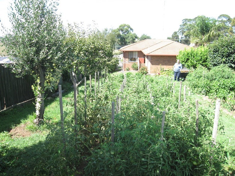 31 Giles Street, Mirboo North VIC 3871