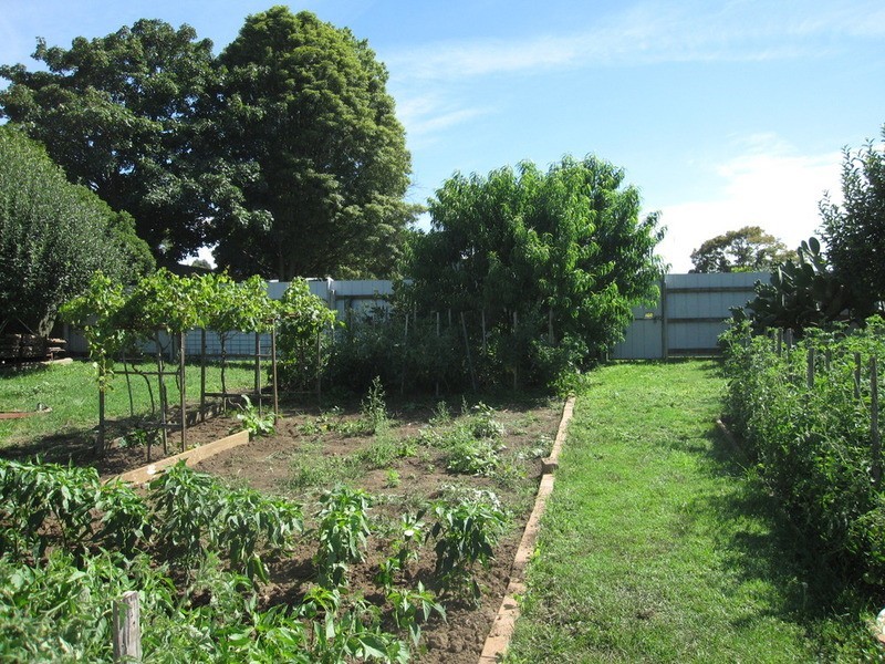 31 Giles Street, Mirboo North VIC 3871