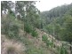 Lot /1 & 2 Morwell River Road, Boolarra VIC 3870