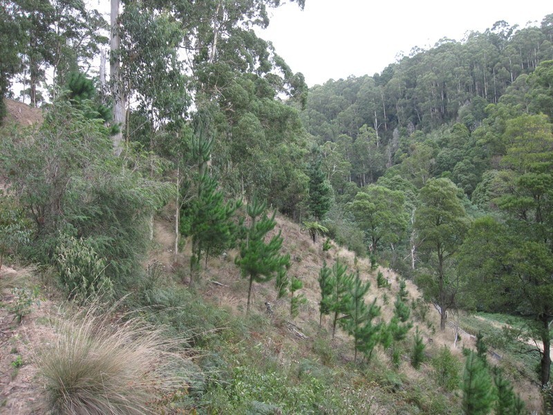 Lot /1 & 2 Morwell River Road, Boolarra VIC 3870