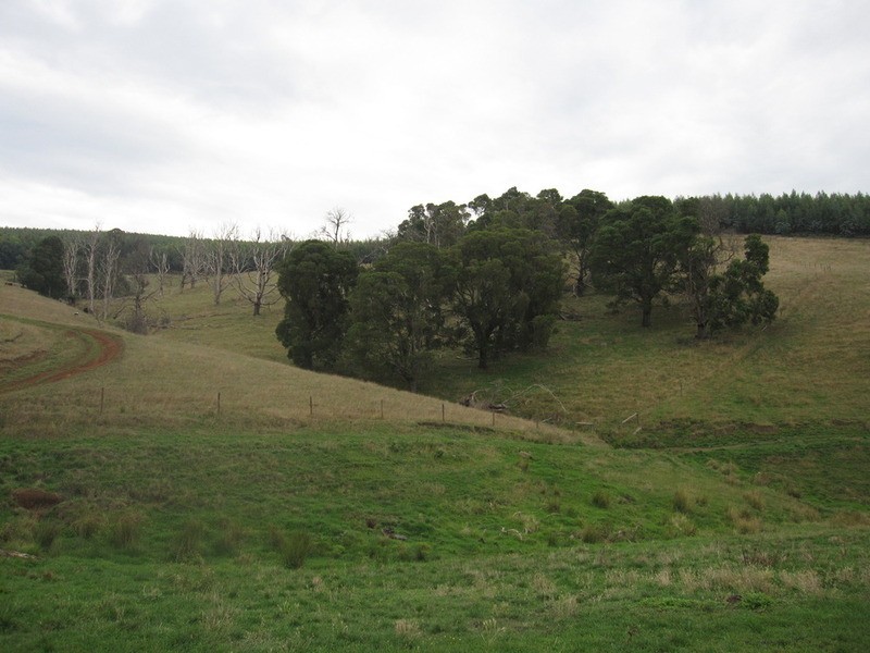 627 Limonite Road, Boolarra VIC 3870