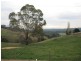 627 Limonite Road, Boolarra VIC 3870