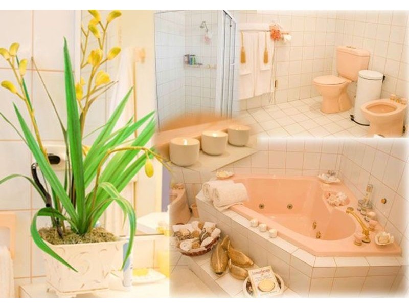 9 Bunyip Court, Morwell VIC 3840