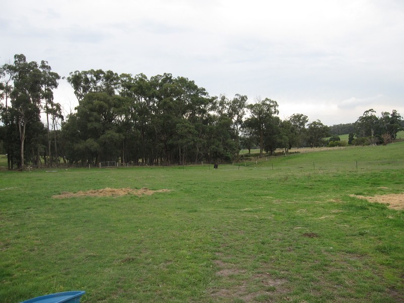 80 Schiebels Road, Yinnar VIC 3869