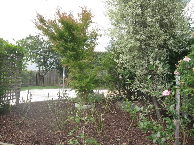 65 Maple Crescent, Churchill VIC 3842