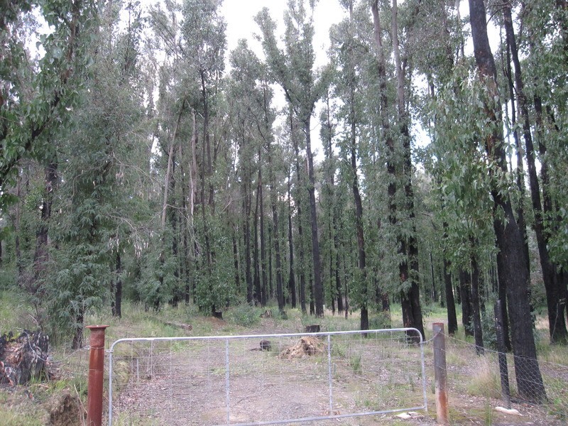 130 Todds Road, Boolarra VIC 3870