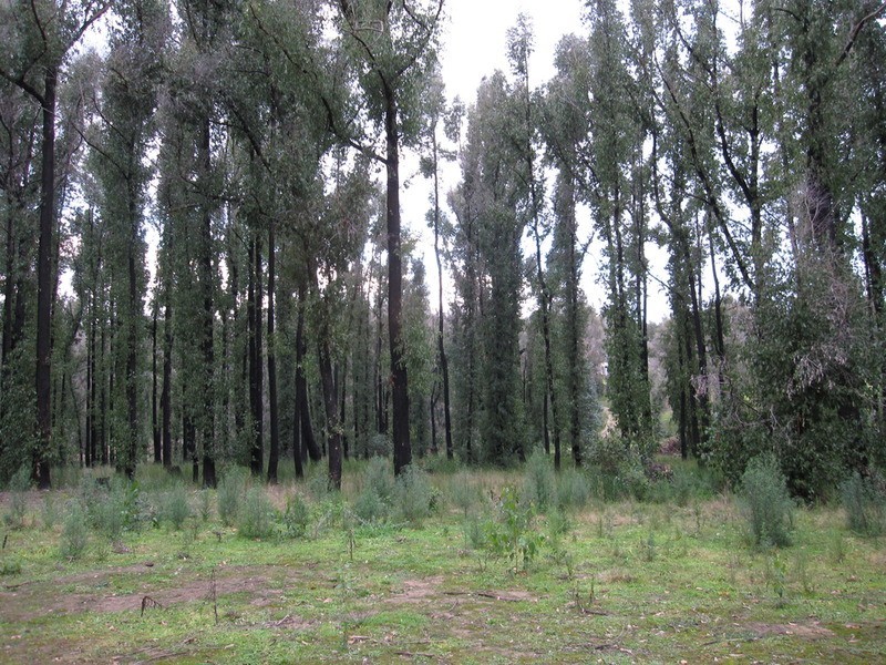 130 Todds Road, Boolarra VIC 3870