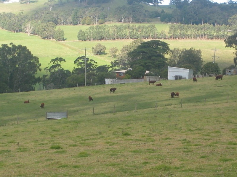 235 Banks Road, Gormandale VIC 3873