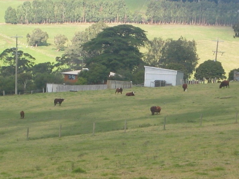 235 Banks Road, Gormandale VIC 3873