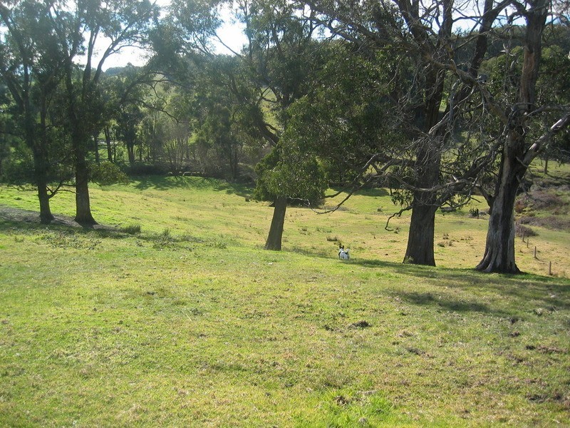 235 Banks Road, Gormandale VIC 3873