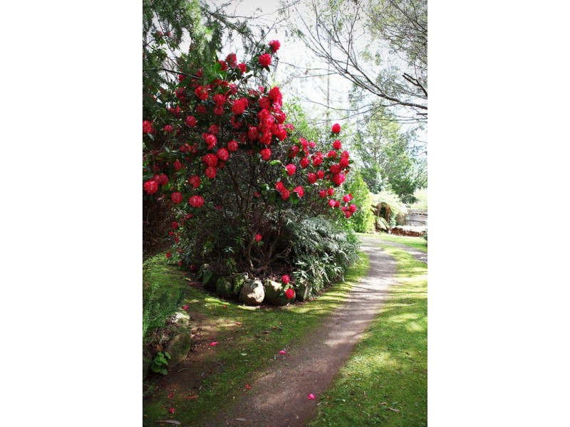 25 Stitchling Street, Carrajung VIC 3844