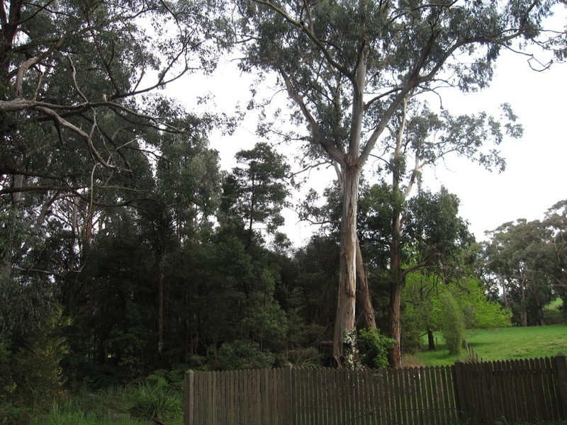 361 Glendonald Way, Hazelwood South VIC 3840