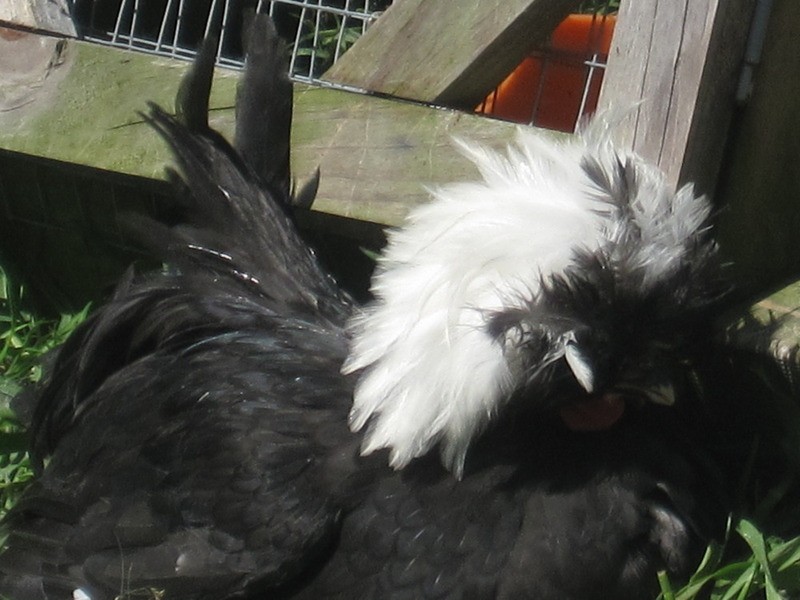 2465 Monash Way, Boolarra VIC 3870