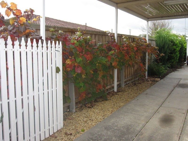 65 Maple Crescent, Churchill VIC 3842