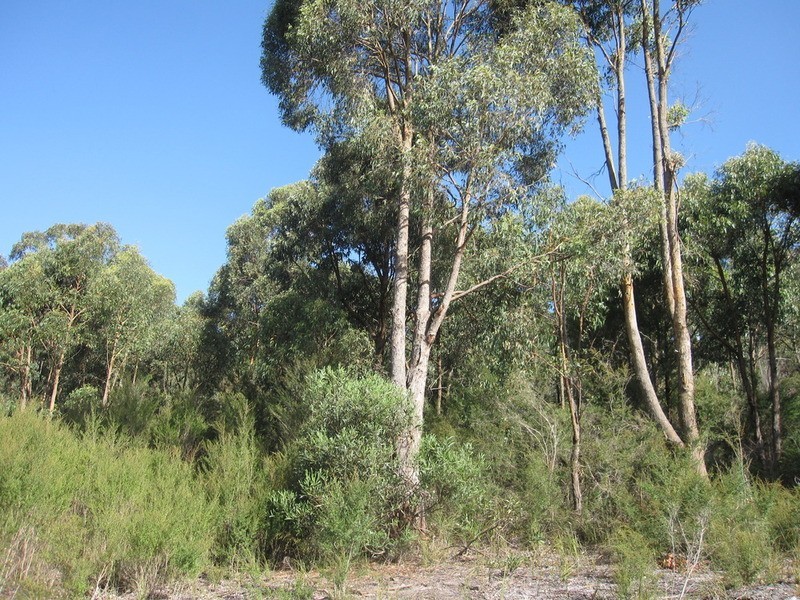 55 McIntosh Road, Boolarra VIC 3870