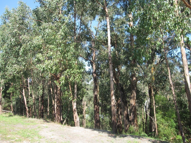 Lot/4 Peel Drive, Yinnar South VIC 3869