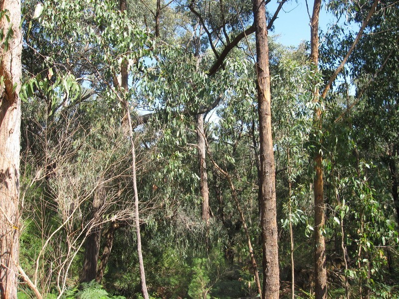 Lot/4 Peel Drive, Yinnar South VIC 3869