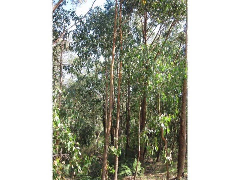 Lot/4 Peel Drive, Yinnar South VIC 3869