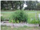 48 Wells Road, Mirboo North VIC 3871