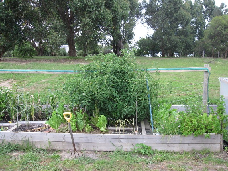 48 Wells Road, Mirboo North VIC 3871