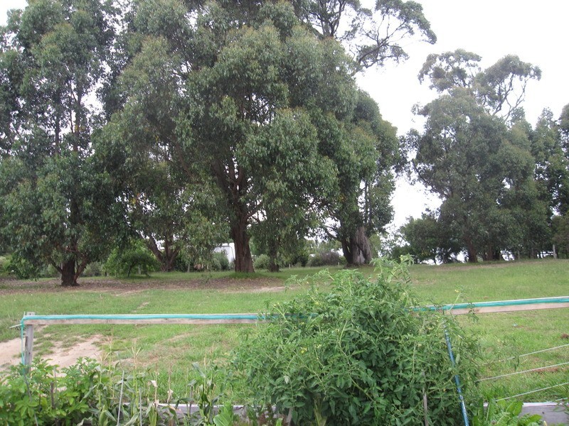 48 Wells Road, Mirboo North VIC 3871