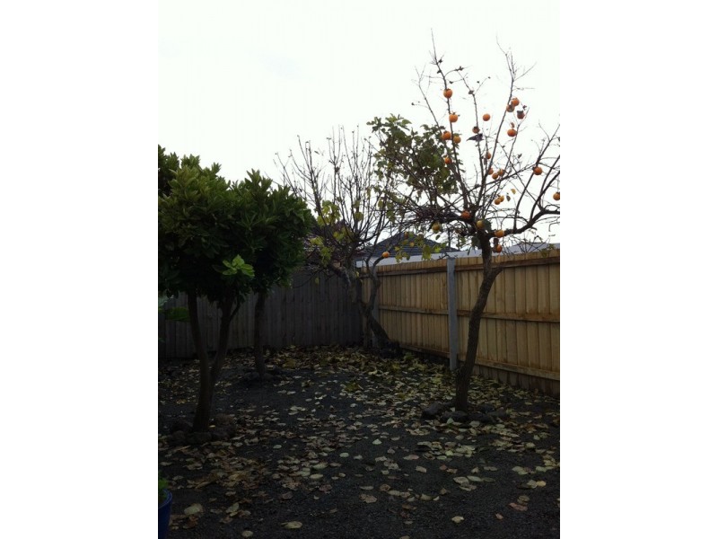 4/63 Hoyle Street, Morwell VIC 3840