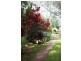 25 Stitchling Street, Carrajung VIC 3844