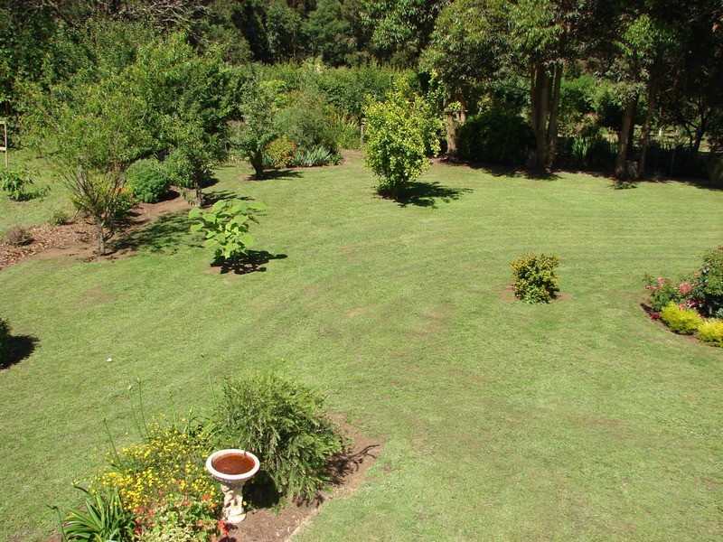 896 Berrys Creek Road, Mirboo North VIC 3871