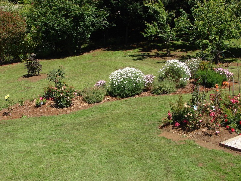 896 Berrys Creek Road, Mirboo North VIC 3871