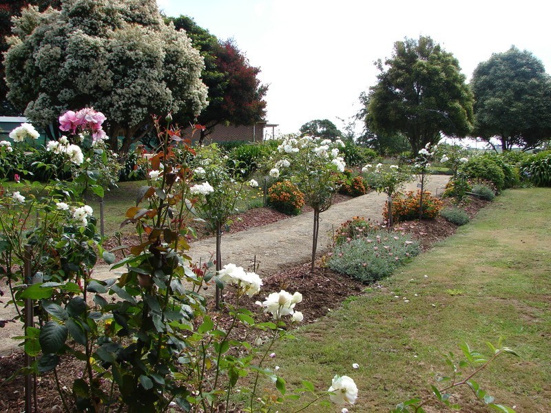 896 Berrys Creek Road, Mirboo North VIC 3871