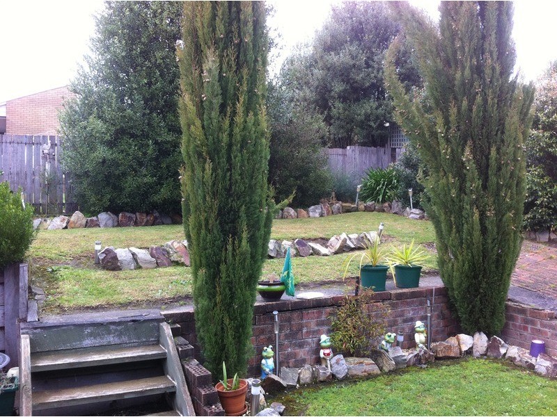 10 Blackwood Crescent, Churchill VIC 3842