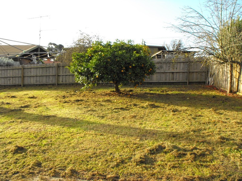 5 Grandridge East Road, Mirboo North VIC 3871