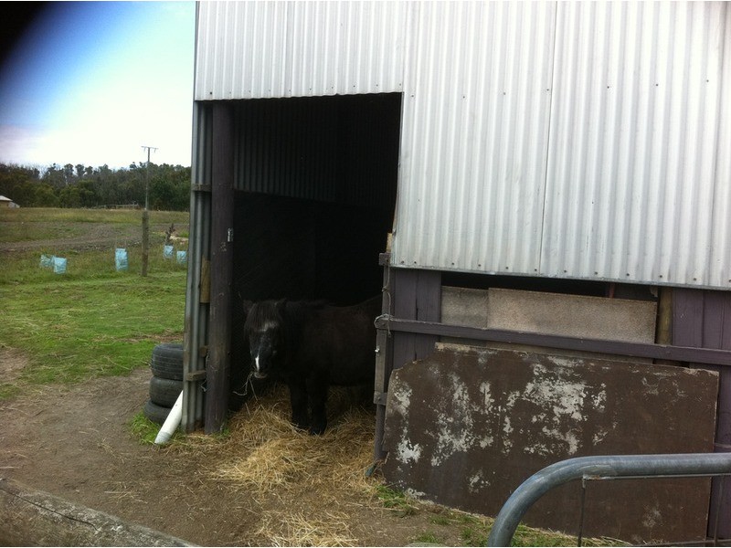 145  McIntoshs  Road, Boolarra VIC 3870