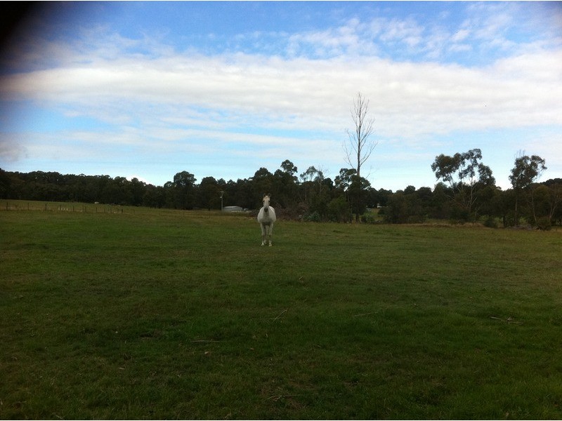 145  McIntoshs  Road, Boolarra VIC 3870