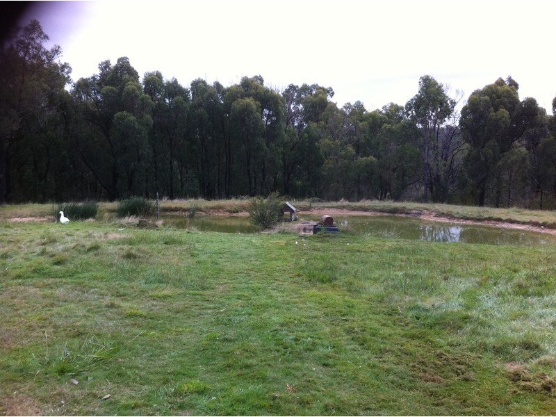 145  McIntoshs  Road, Boolarra VIC 3870