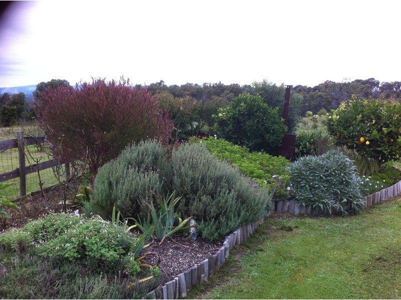 145  McIntoshs  Road, Boolarra VIC 3870