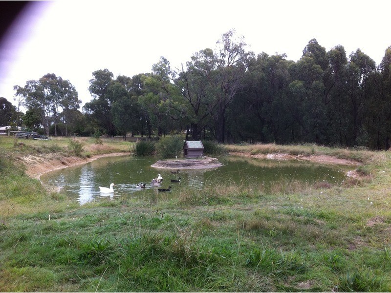 145  McIntoshs  Road, Boolarra VIC 3870