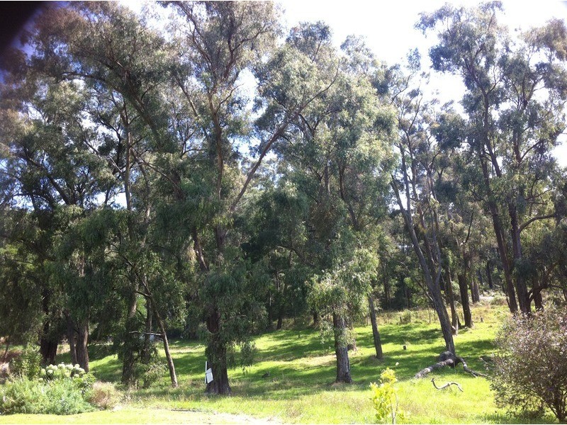 2 Brockelbank Court, Yinnar South VIC 3869
