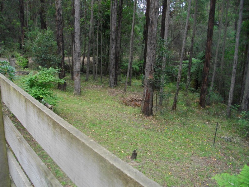 36 Balook Street, Mirboo North VIC 3871