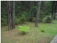36 Balook Street, Mirboo North VIC 3871