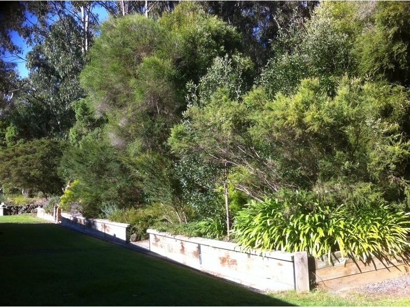 81 Tebb  Terrace, Jeeralang Junction VIC 3840