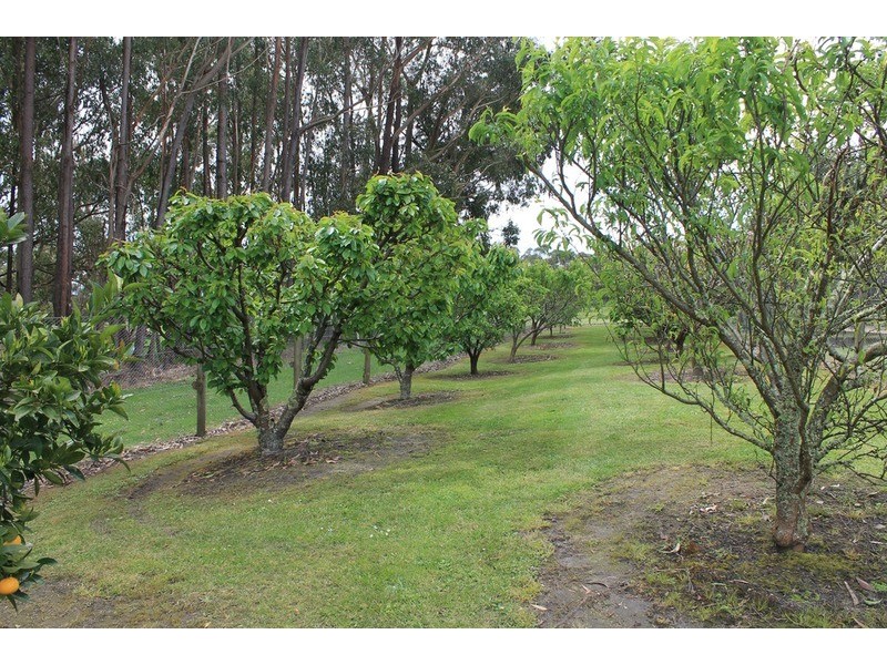 3  Marriotts Road, Yinnar South VIC 3869