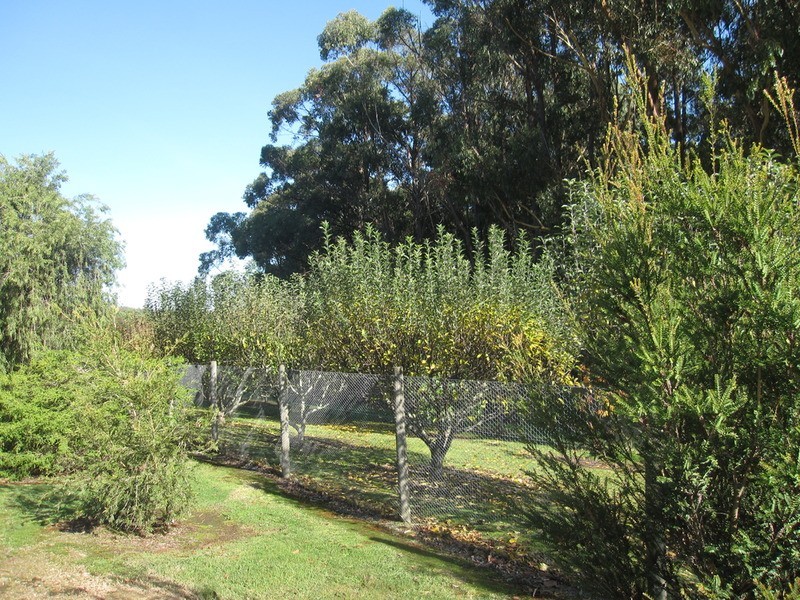 3  Marriotts Road, Yinnar South VIC 3869