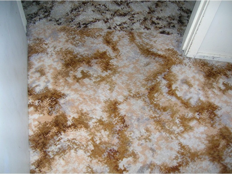 9 White Parade, Churchill VIC 3842